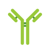 Immunology of MS