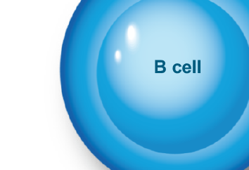 Advanced Immunology Part 1